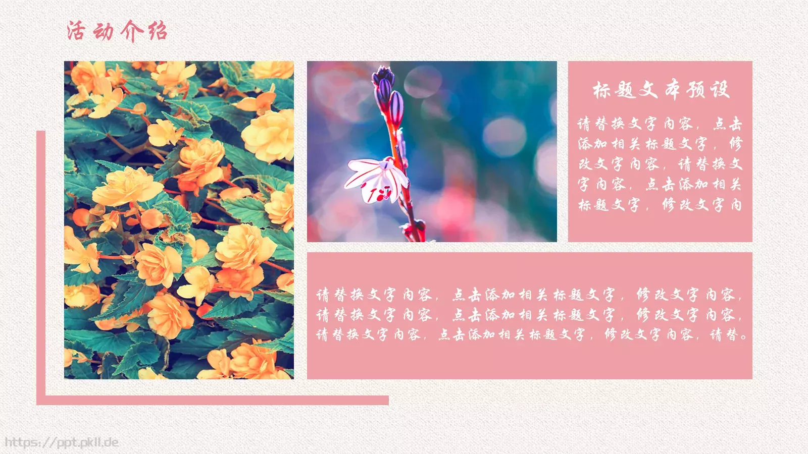 妇女节活动策划PPT模板 第 5 页预览图