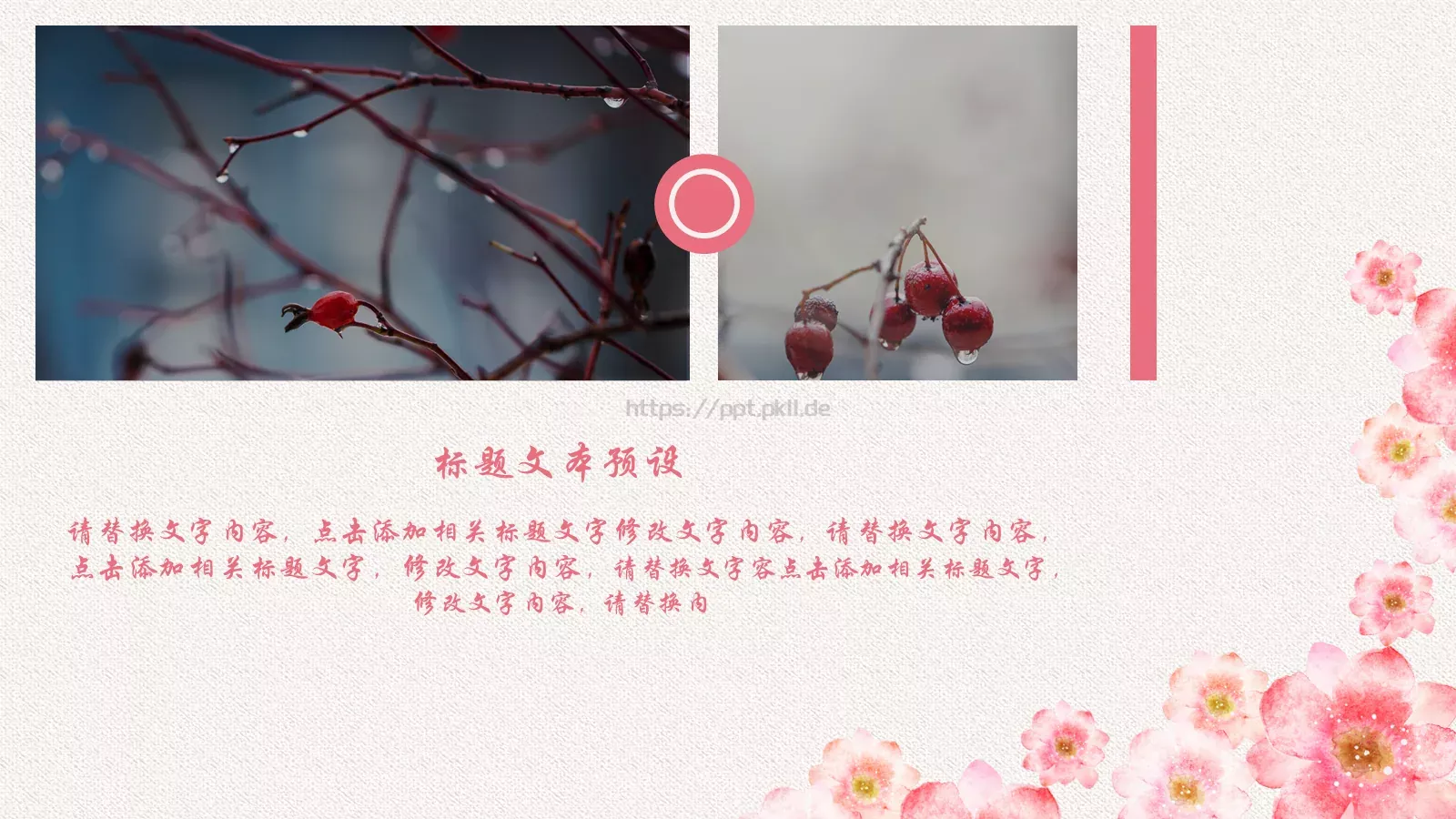 妇女节活动策划PPT模板 第 11 页预览图