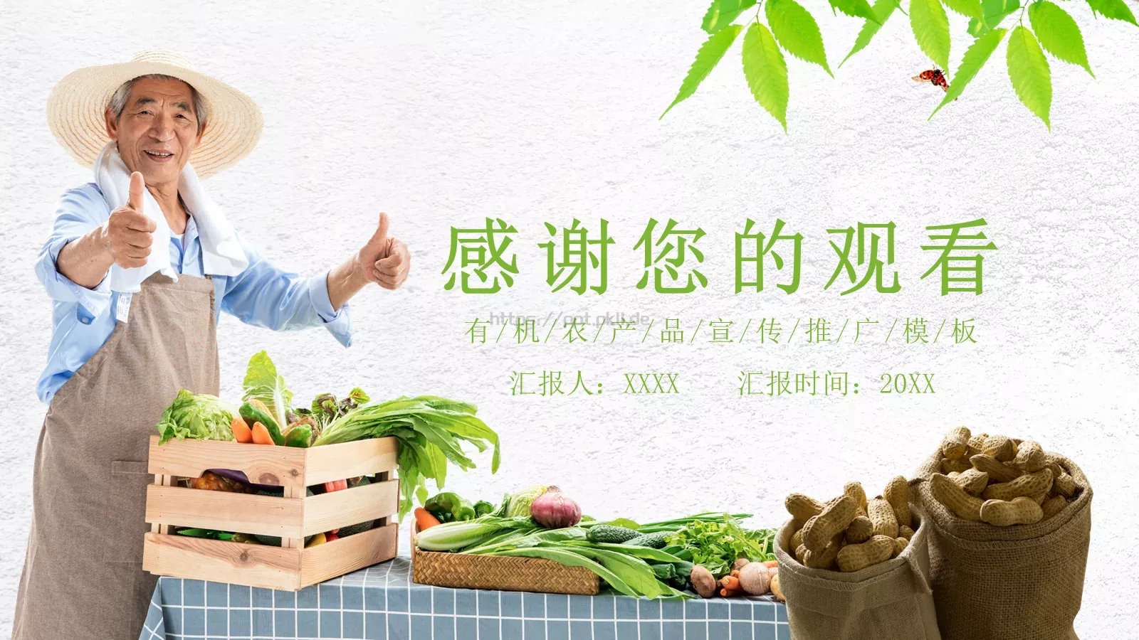 公司简介产品介绍PPT模板 第 24 页预览图