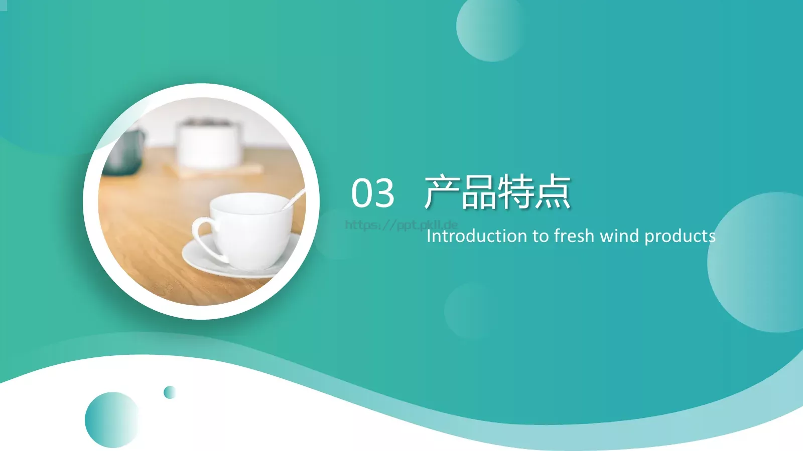 清新风产品介绍PPT模板 第 13 页预览图
