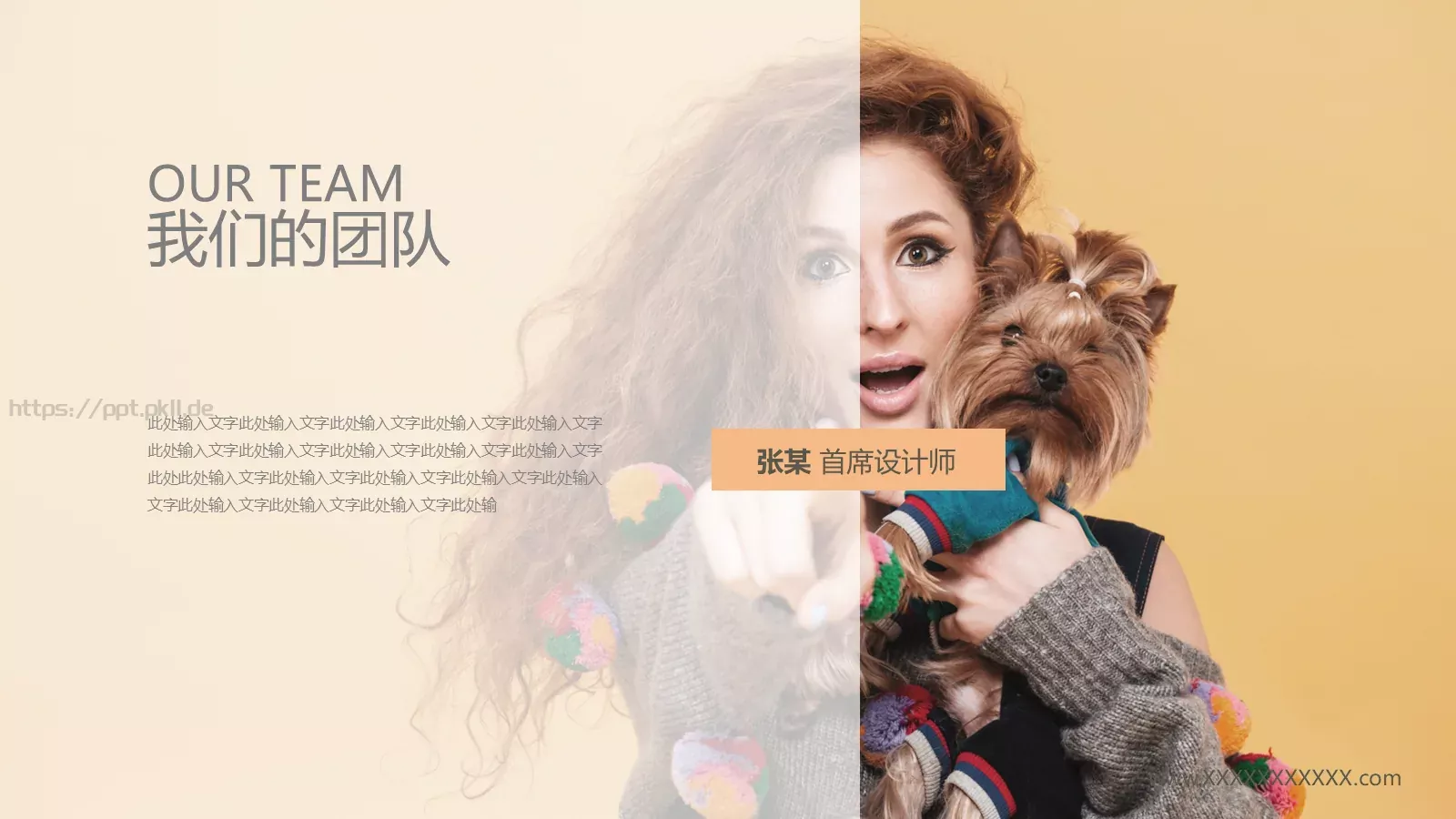 服装行业产品介绍PPT模板 第 11 页预览图