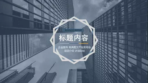 项目介绍与计划总结PPT模板 缩略图