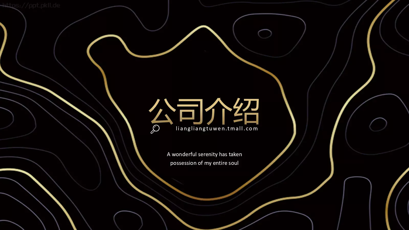 公司介绍PPT模板 第 1 页缩略图