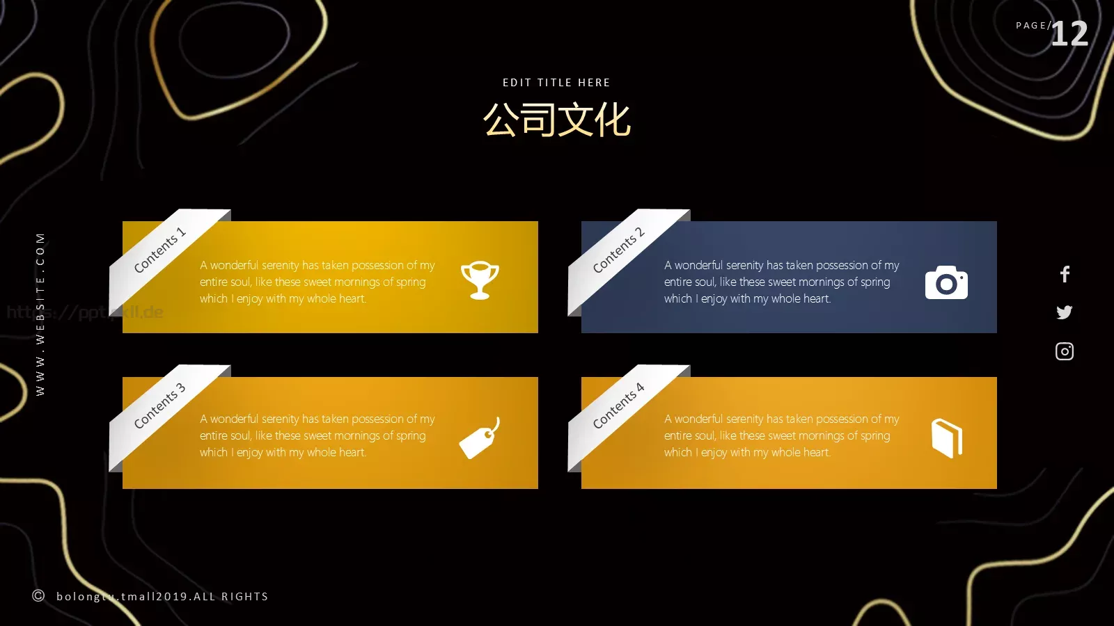 公司介绍PPT模板 第 12 页预览图