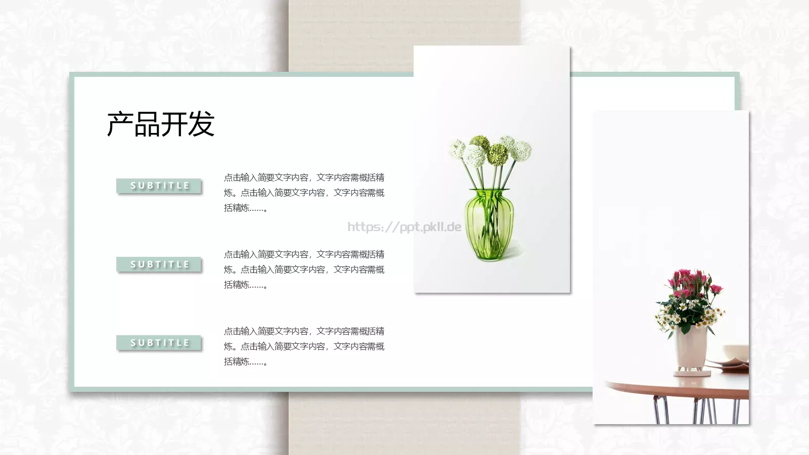 产品发布PPT模板 第 24 页预览图
