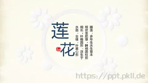 多年生水生通用模板 缩略图