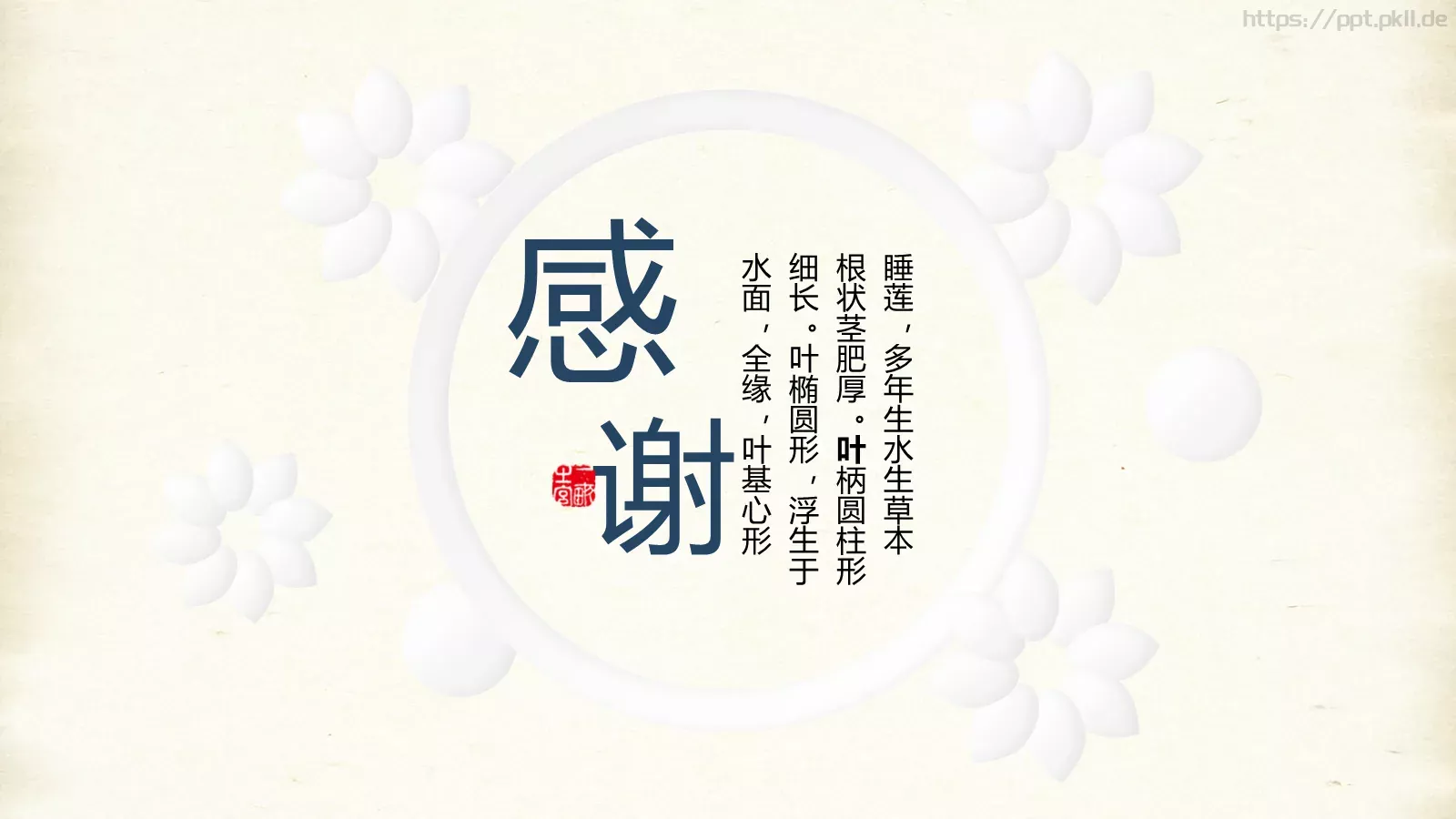 多年生水生通用模板 第 19 页预览图