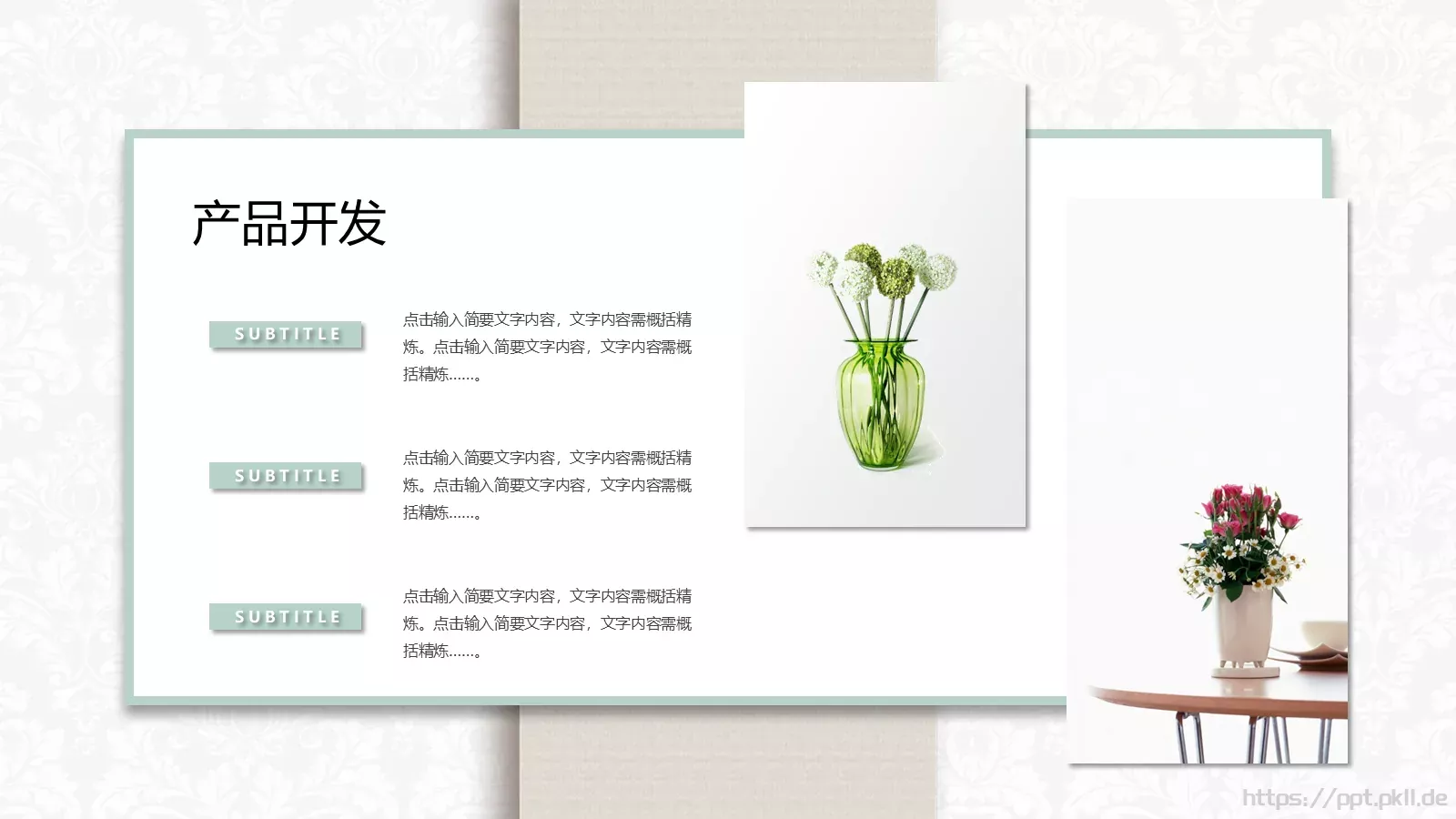 产品发布PPT模板 第 24 页预览图