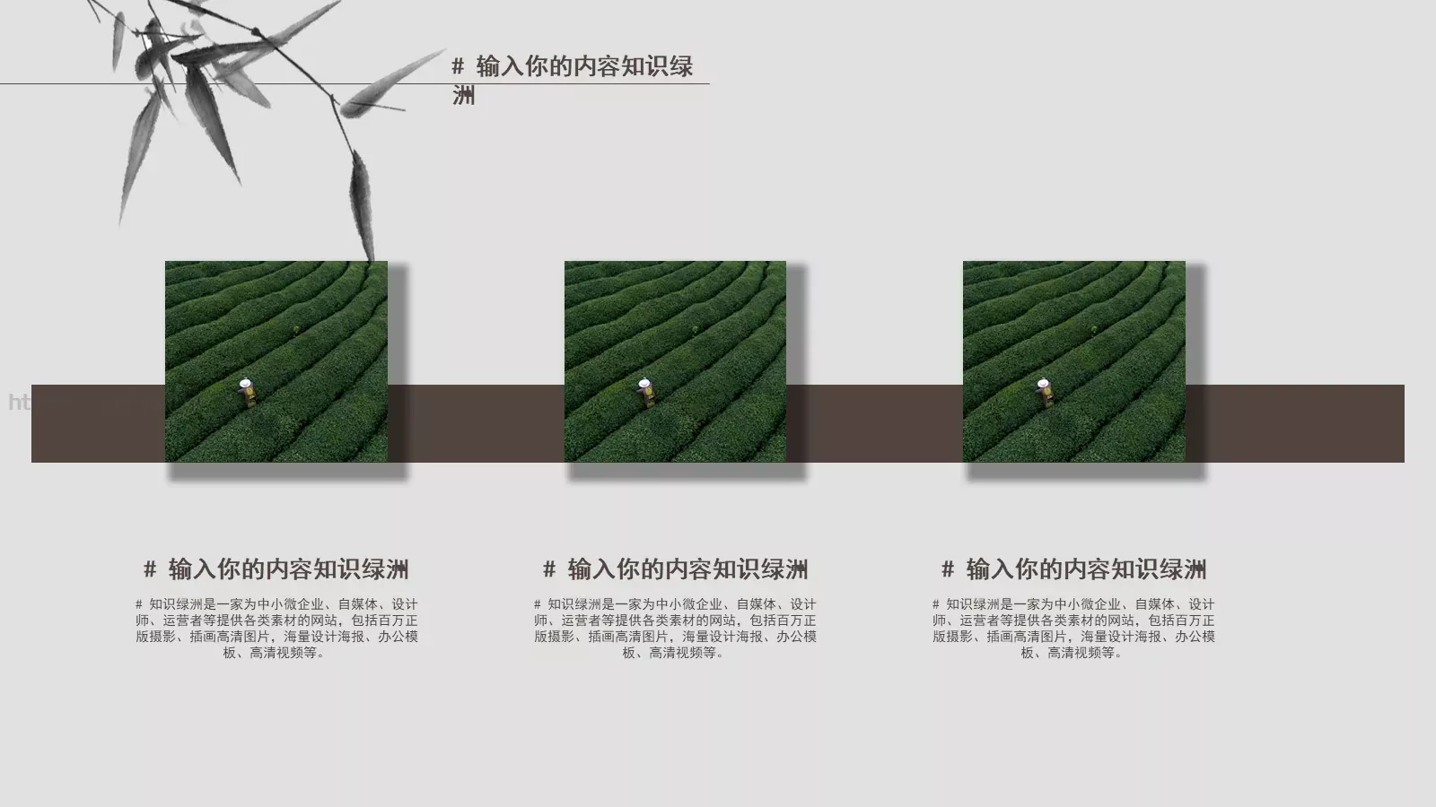 企业宣传通用PPT模板 第 14 页预览图