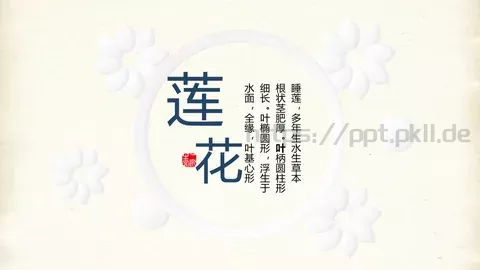 睡莲多年生水生草本PPT模板 缩略图