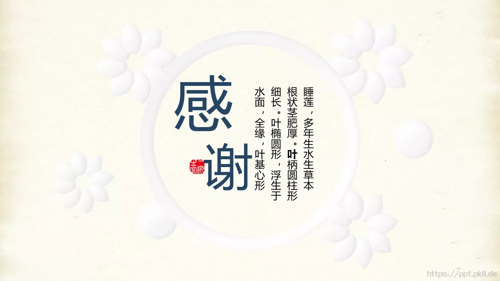睡莲多年生水生草本PPT模板 第 19 页预览图
