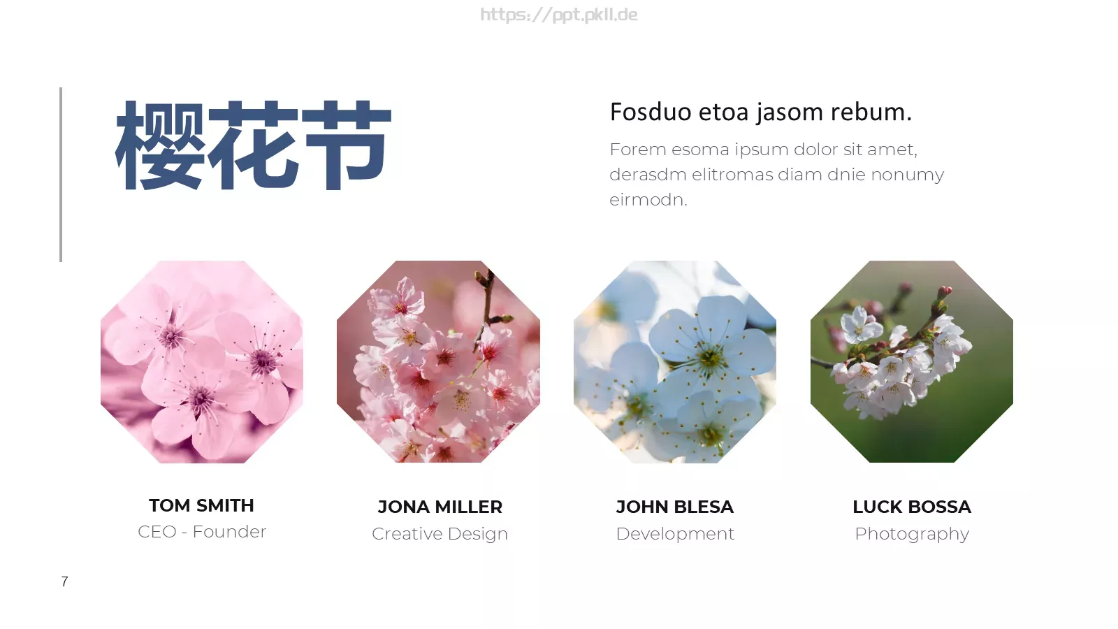 樱花节旅游相册PPT模板 第 7 页预览图