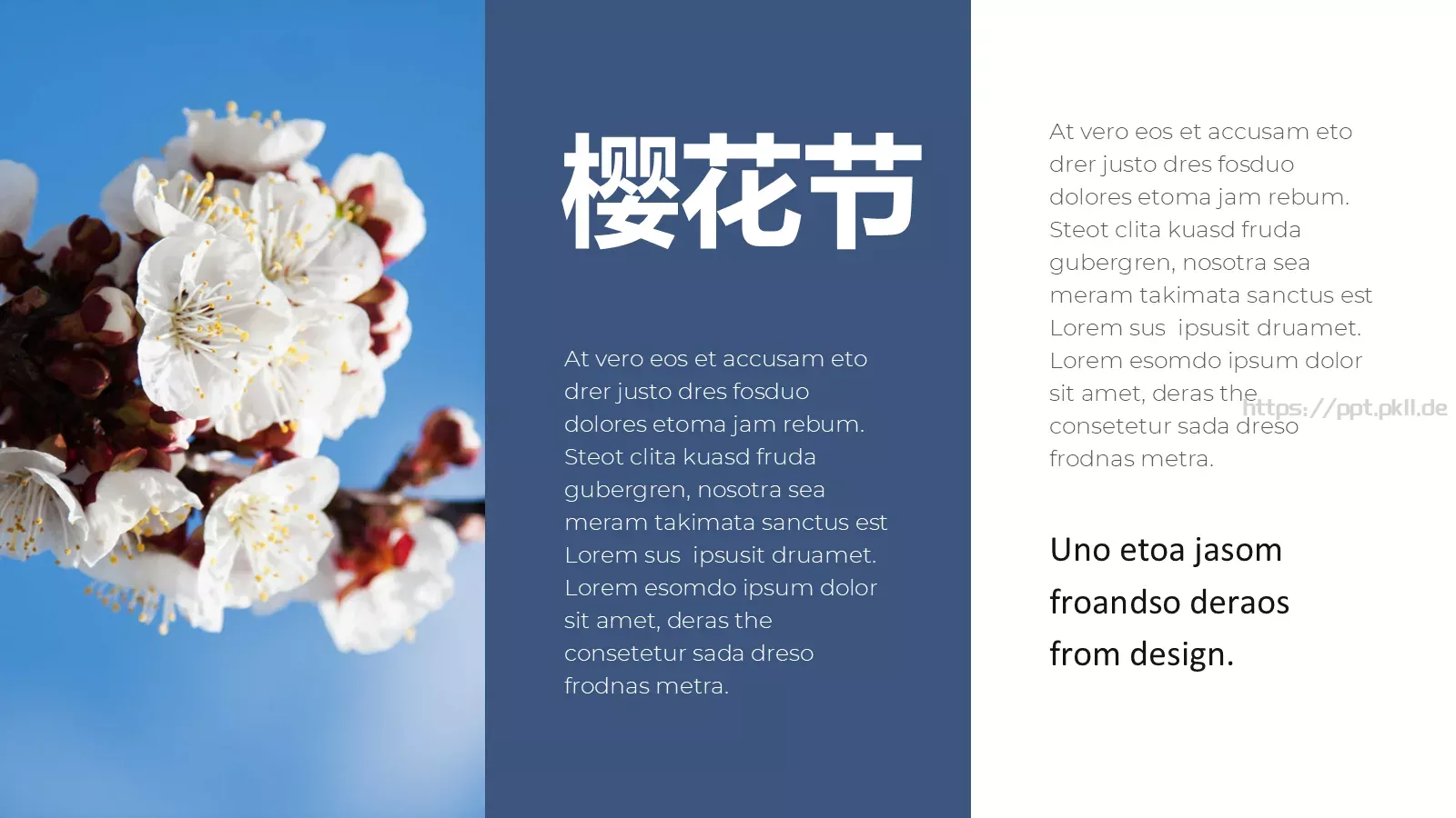 樱花节旅游相册PPT模板 第 11 页预览图