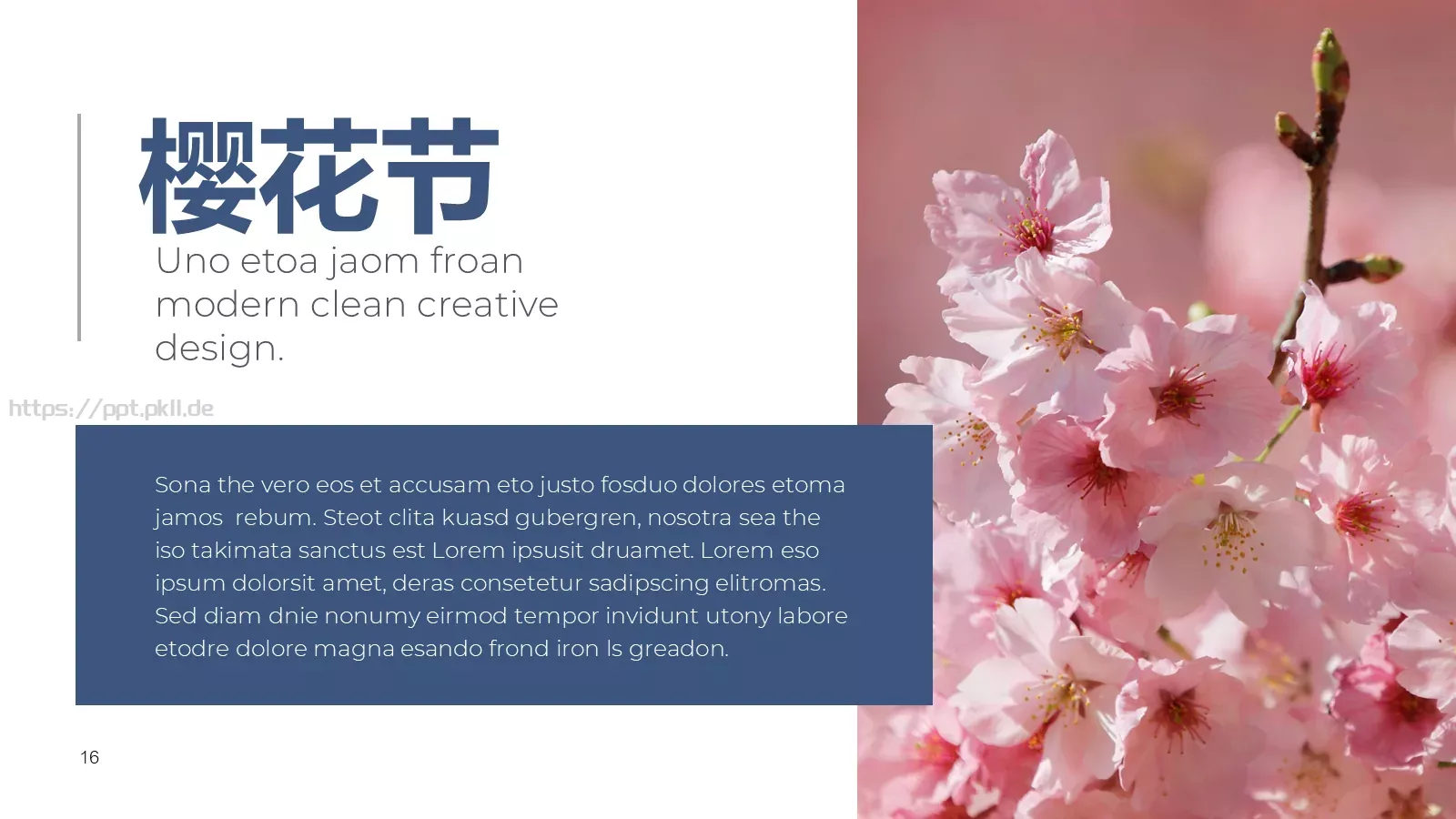 樱花节旅游相册PPT模板 第 16 页预览图