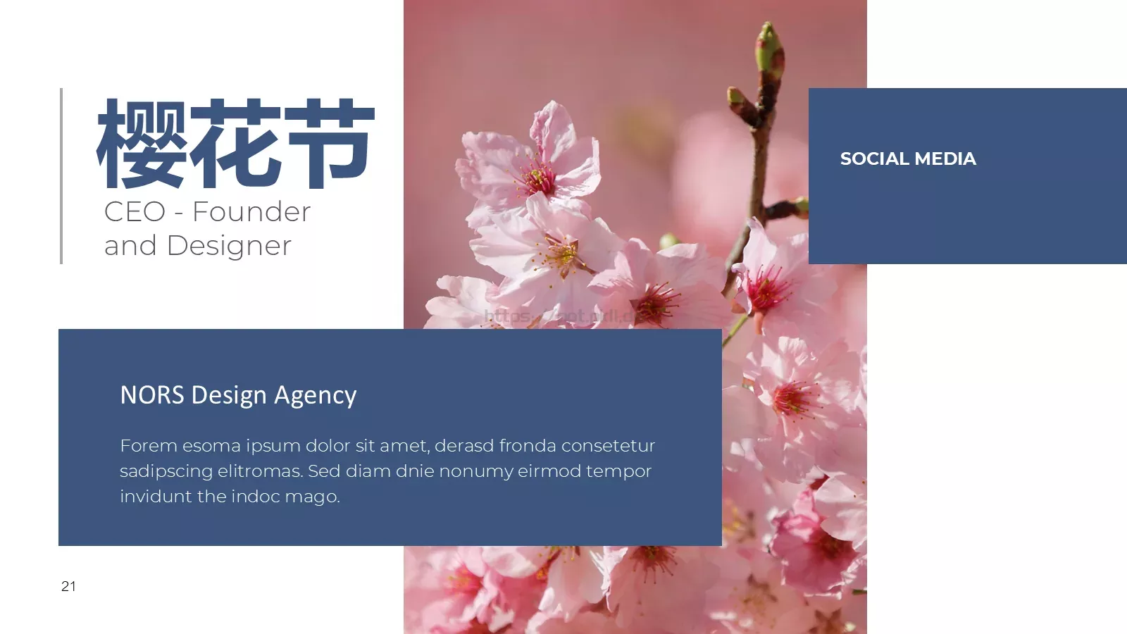 樱花节旅游相册PPT模板 第 21 页预览图