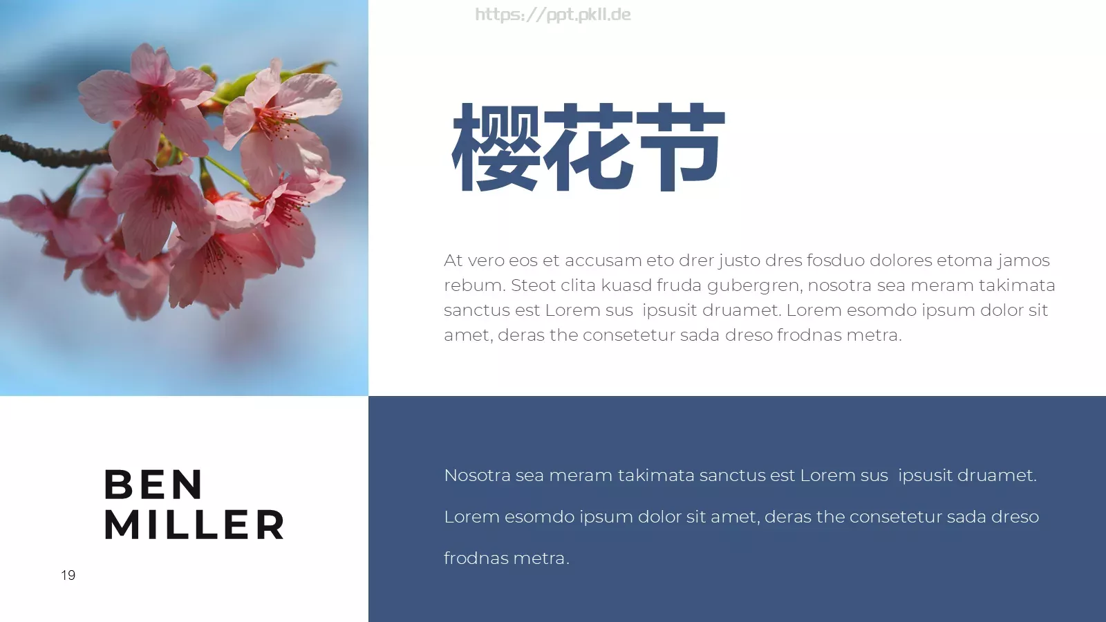 樱花节旅游相册PPT模板 第 19 页预览图