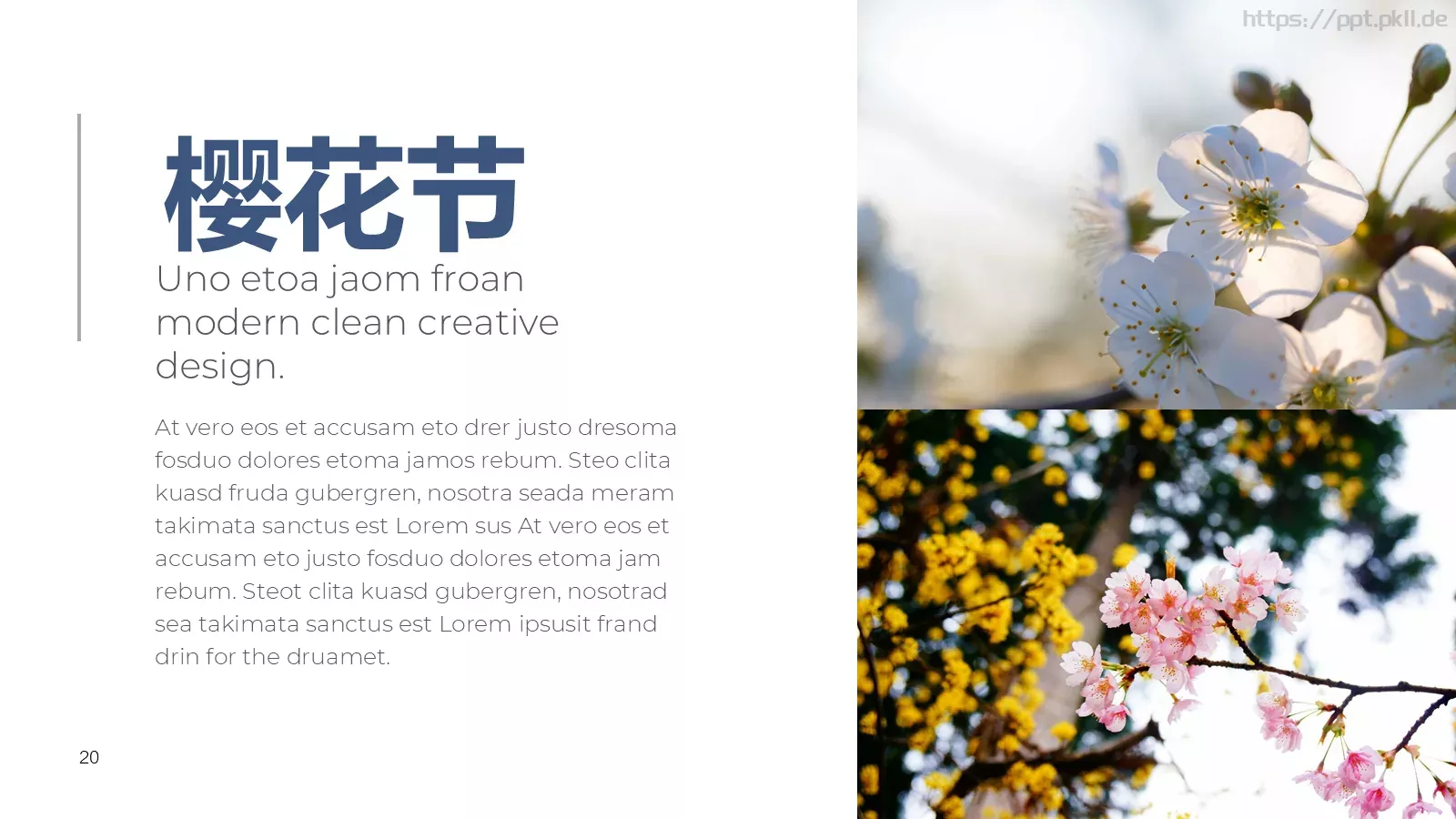 樱花节旅游相册PPT模板 第 20 页预览图