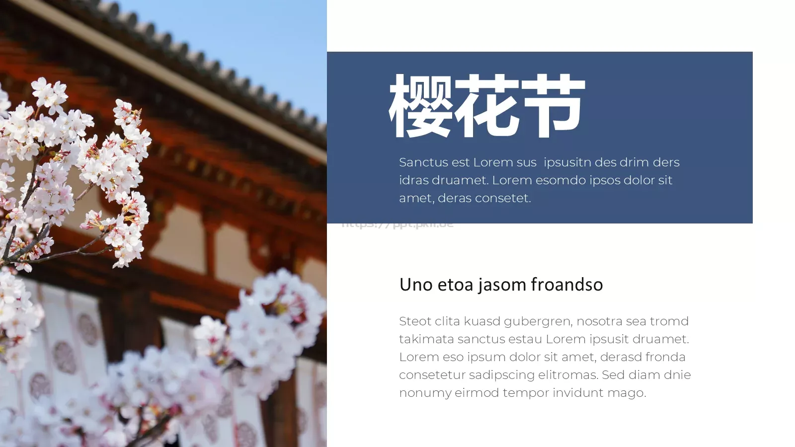 樱花节旅游相册PPT模板 第 23 页预览图