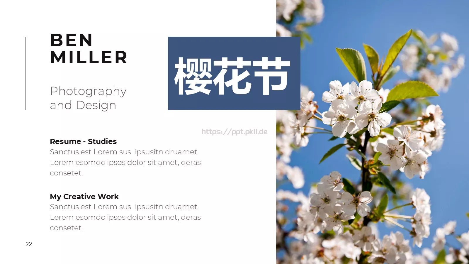 樱花节旅游相册PPT模板 第 22 页预览图