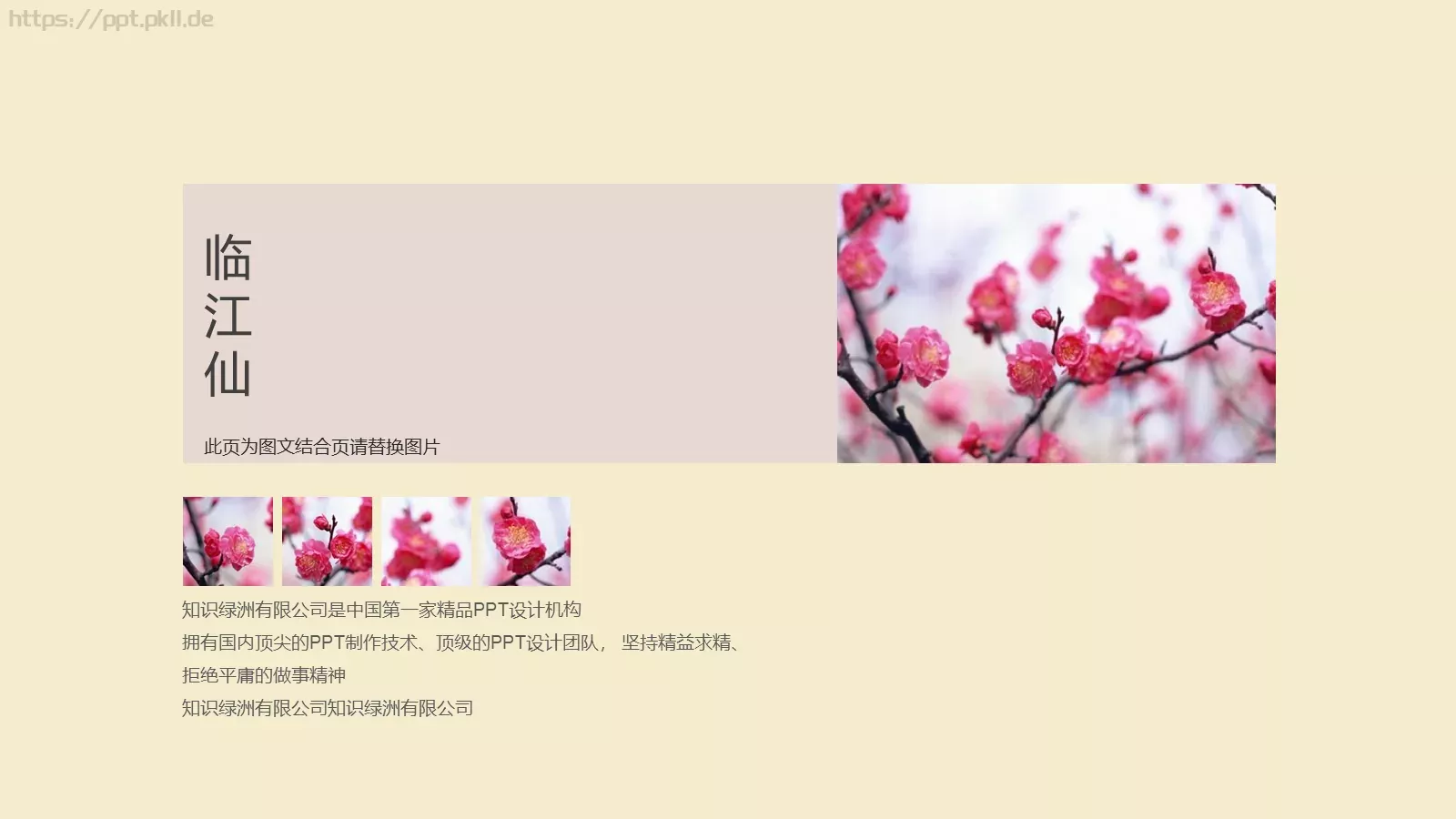 暗香疏影企业宣传PPT模板 第 24 页预览图