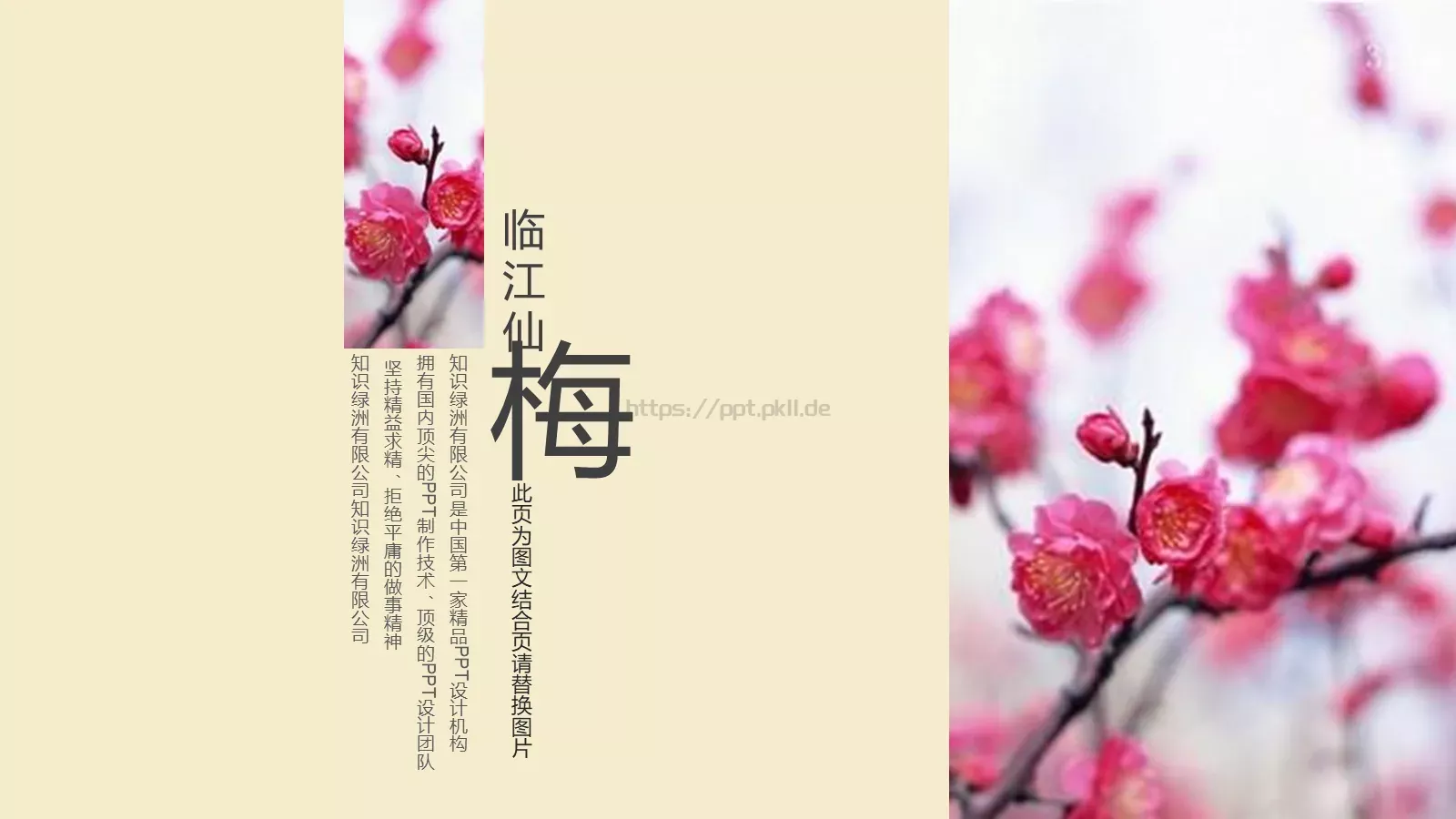 暗香疏影企业宣传PPT模板 第 22 页预览图