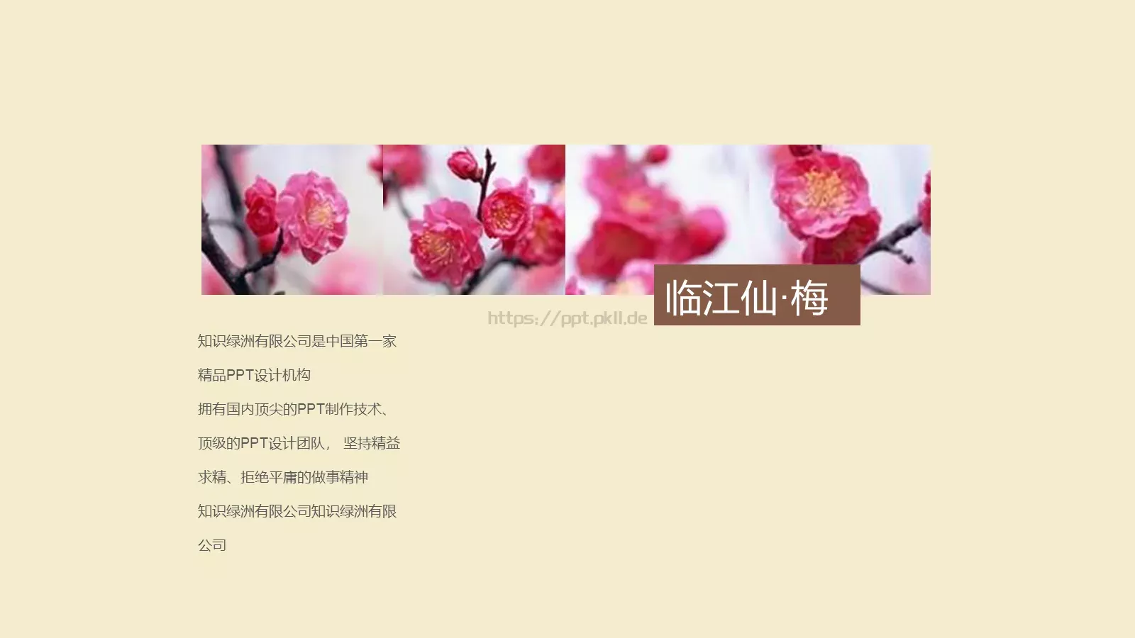 暗香疏影企业宣传PPT模板 第 29 页预览图