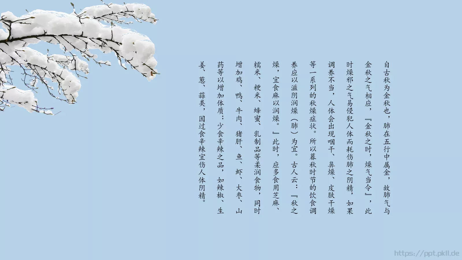 野店星河在，行人道路长PPT模板 第 23 页预览图