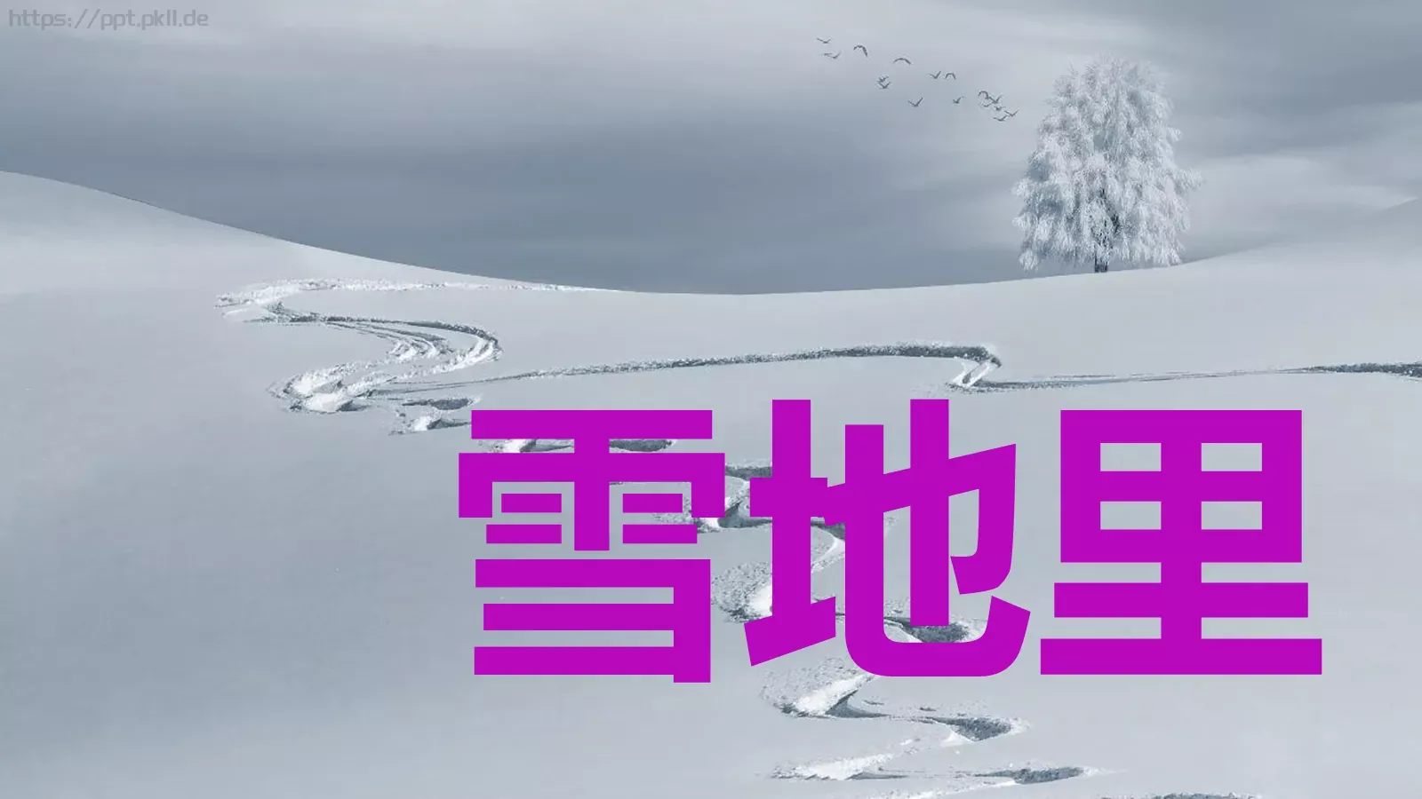 快闪动画通用PPT 第 40 页预览图