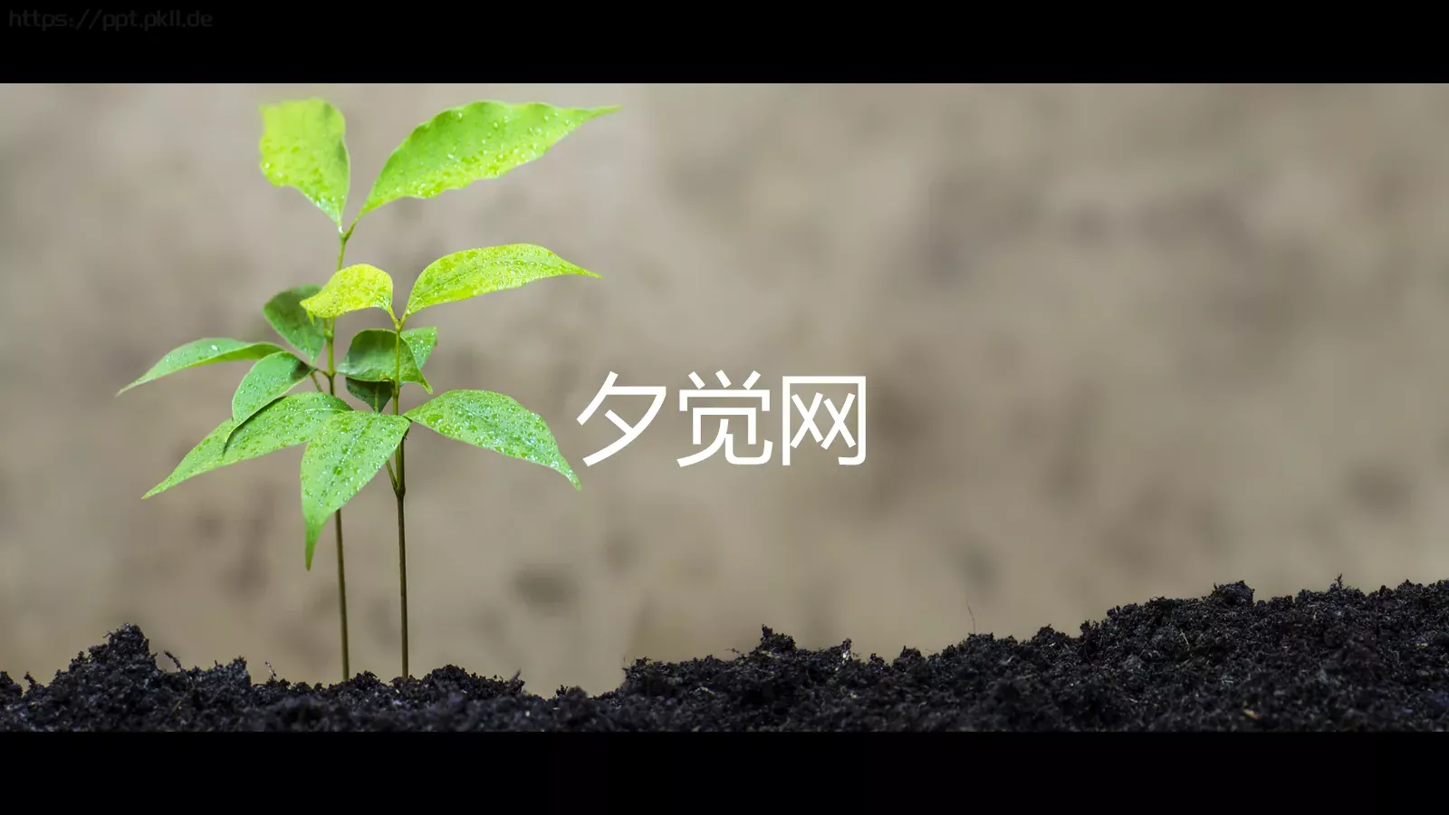 酷炫图文快闪动画视频简介通用PPT模板 第 33 页预览图