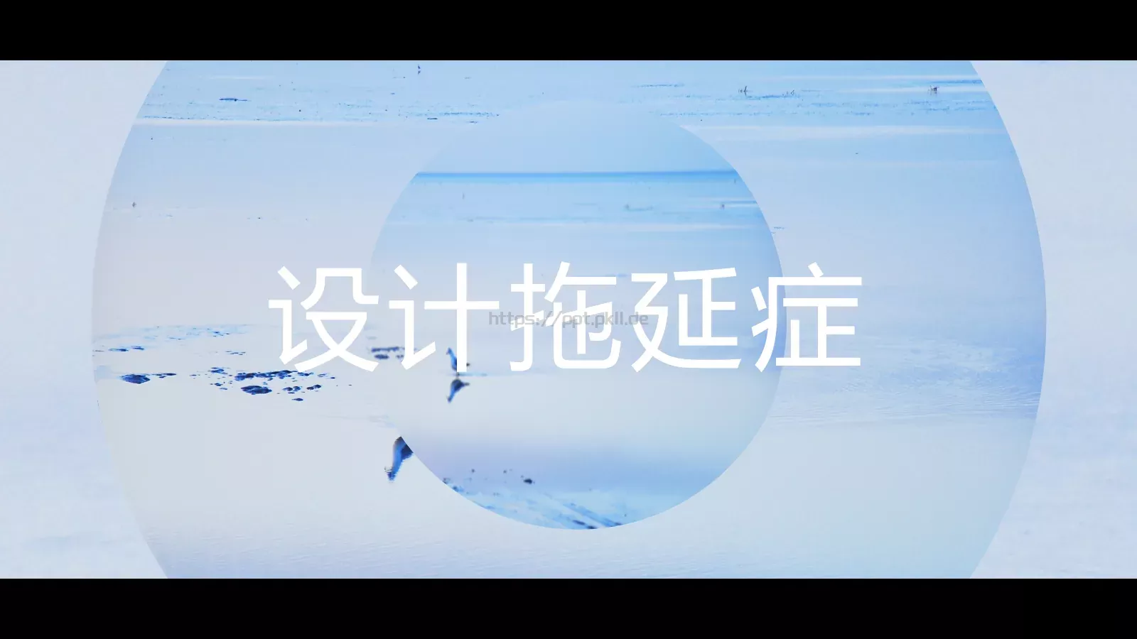 快闪动画自我介绍PPT 第 13 页预览图