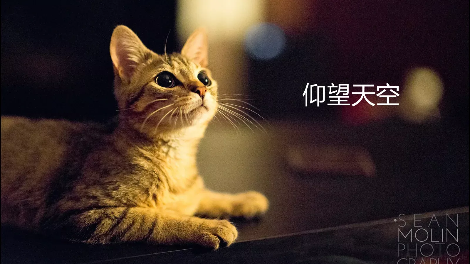 苹果快闪通用PPT 第 108 页预览图