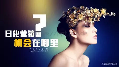 数据来源说明方案PPT模板 缩略图