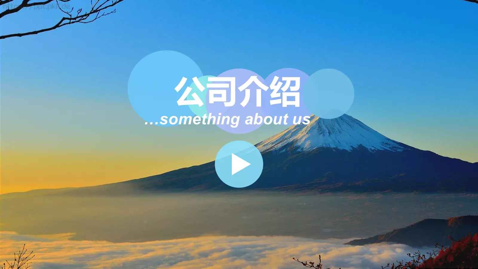 公司介绍PPT模板 第 1 页缩略图