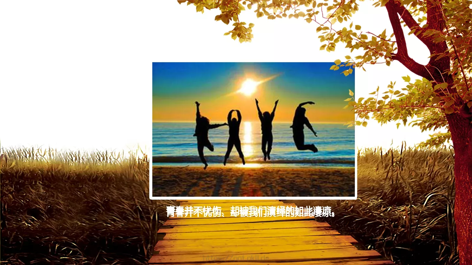 我们终将逝去的答辩简历PPT模板 第 5 页预览图