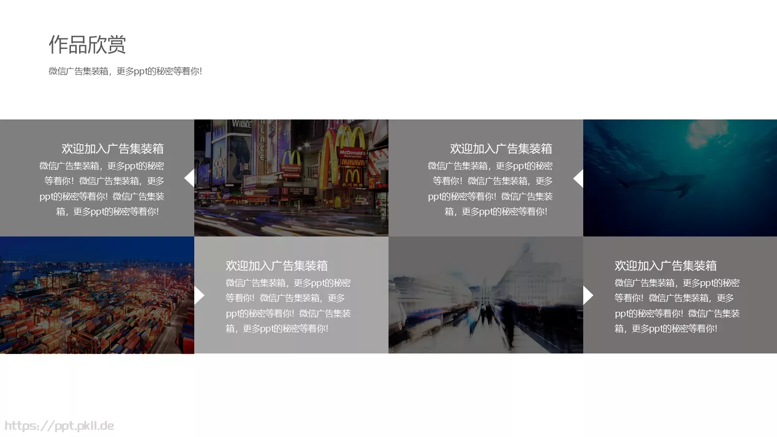 个人简历PPT模板 第 8 页预览图