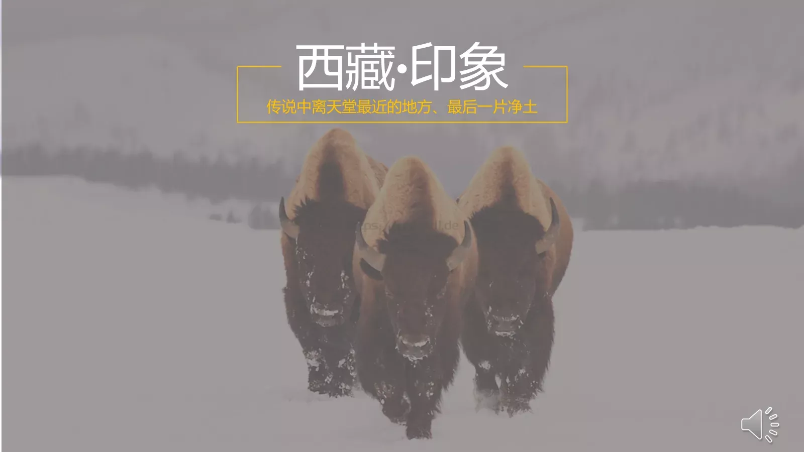西藏旅游介绍PPT模板 封面图