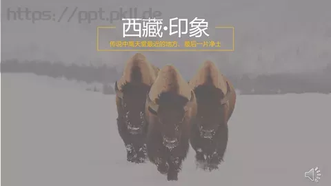 西藏旅游介绍PPT模板 缩略图