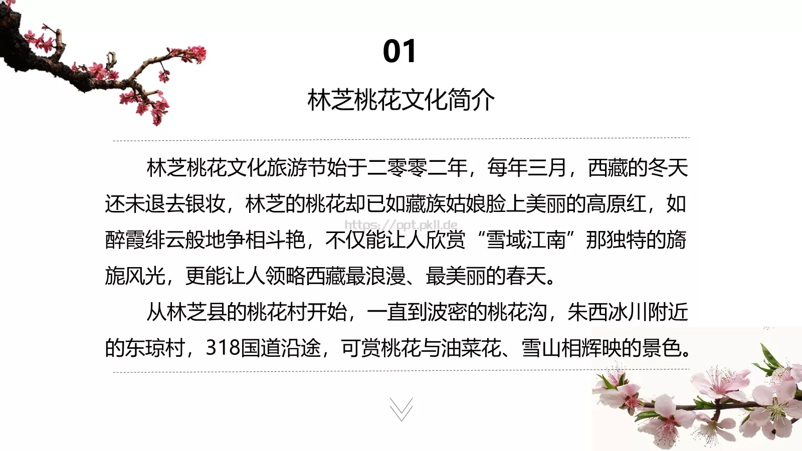 西藏旅游介绍PPT模板 第 10 页预览图