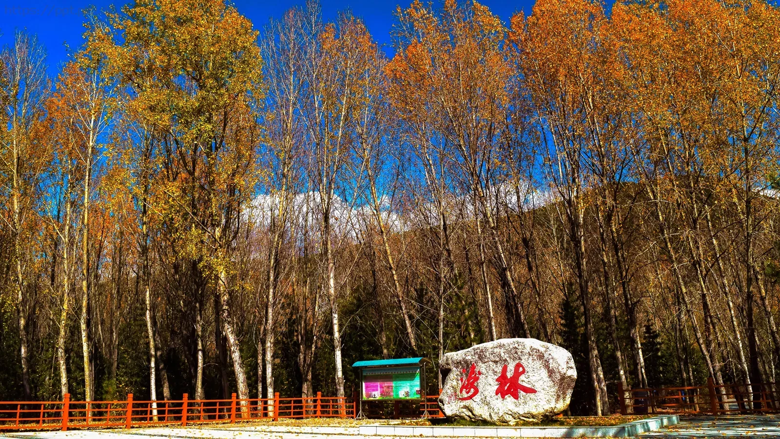 西藏旅游介绍PPT模板 第 21 页预览图