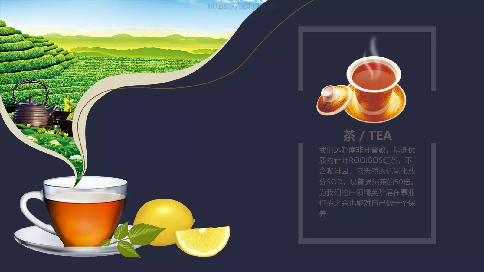 通用动态动画PPT模板 第 15 页预览图