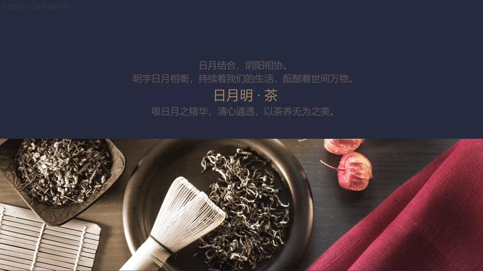 通用动态动画PPT模板 第 17 页预览图