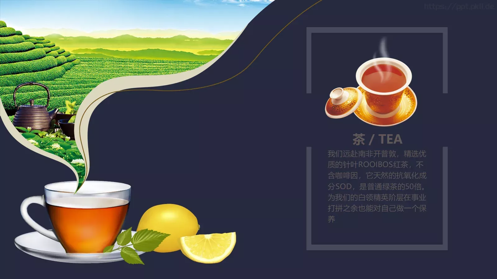 通用动态模板 第 15 页预览图