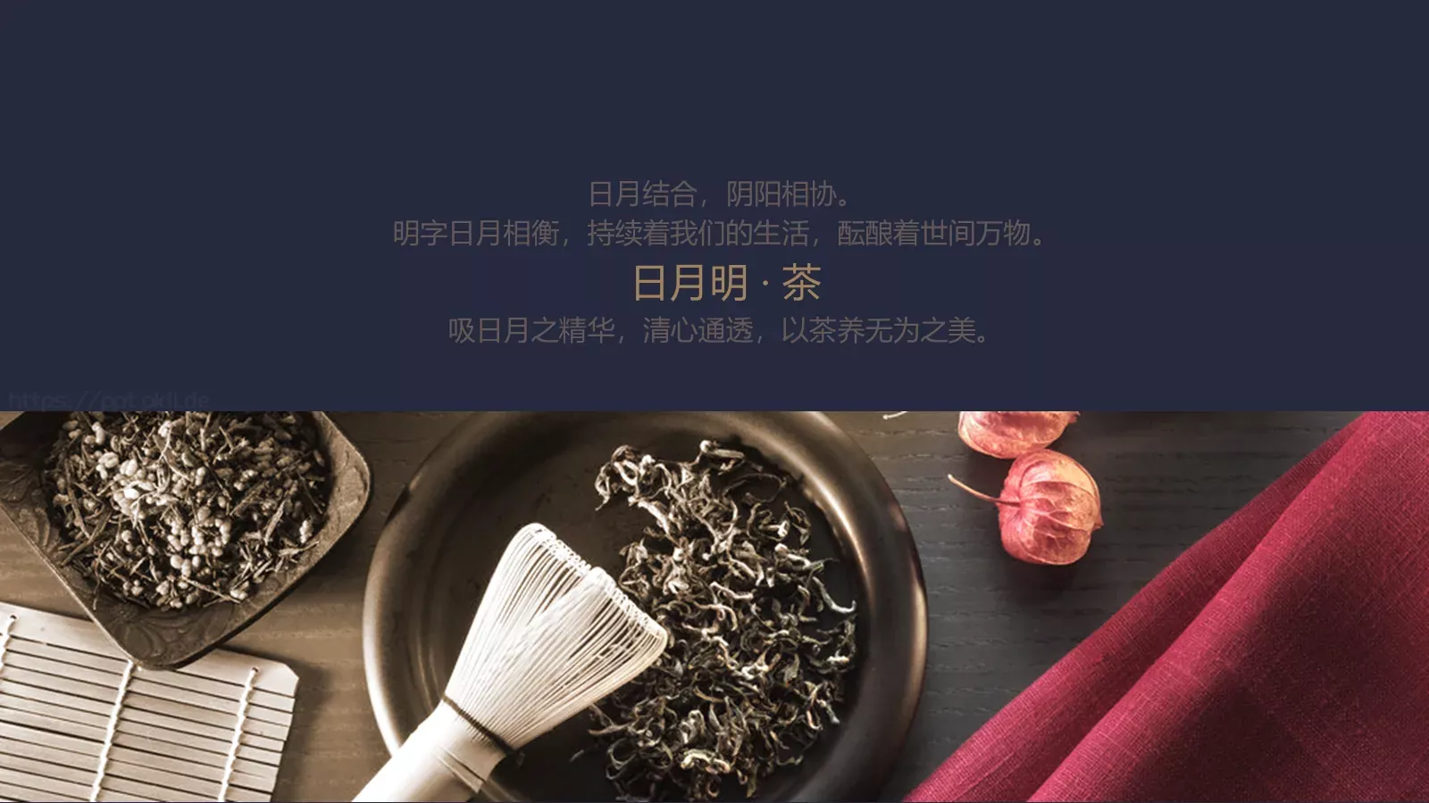 通用动态模板 第 17 页预览图