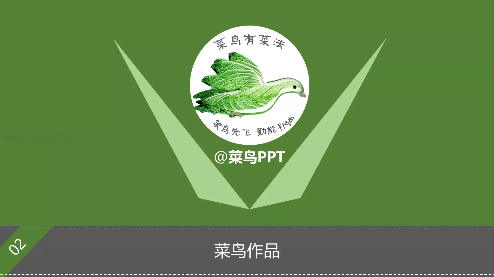 鸟作品展示PPT模板 封面图