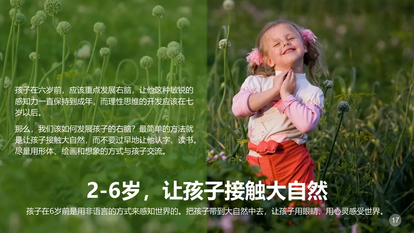 教育培训课件PPT模板 第 17 页预览图