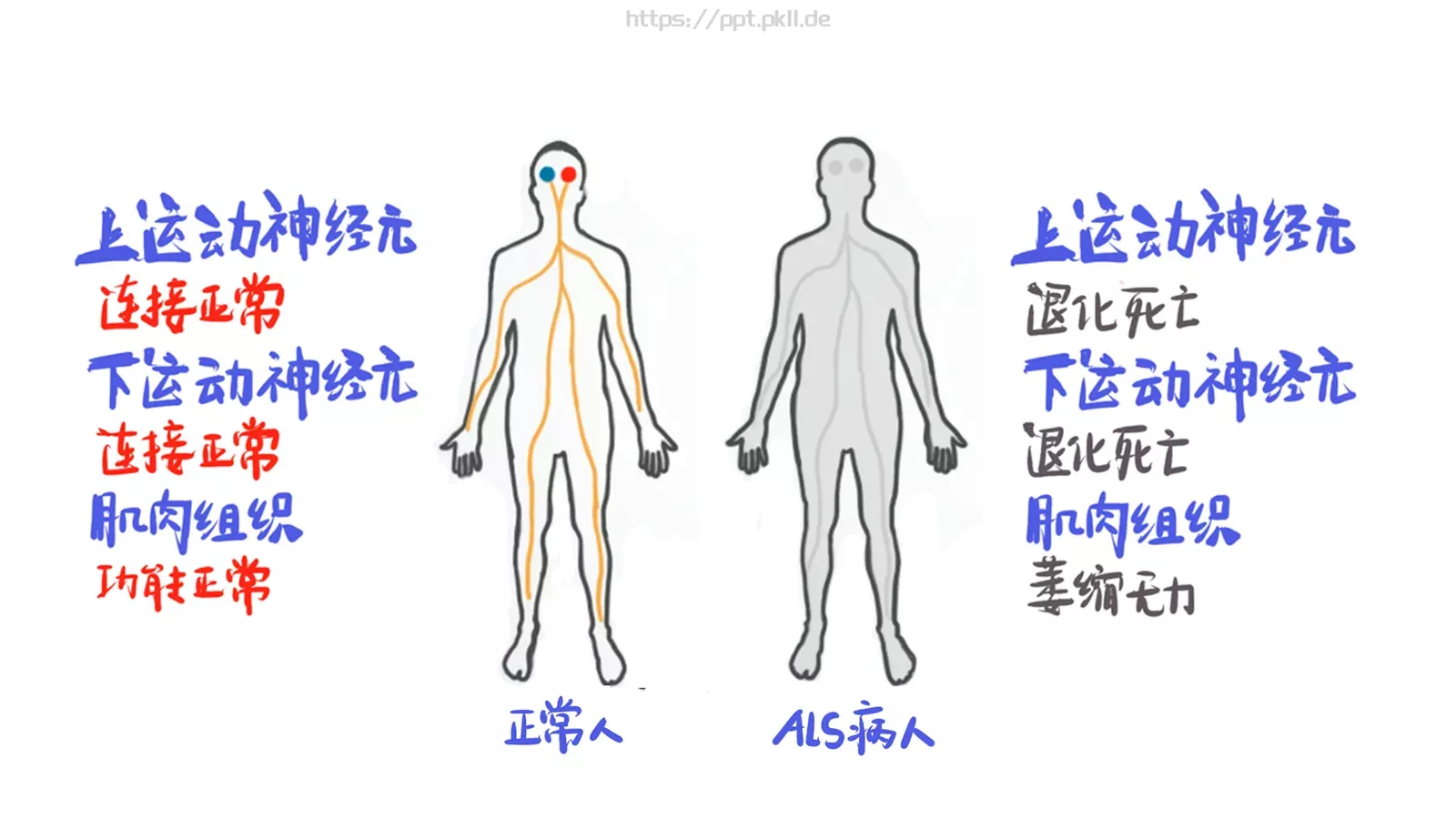 通用模板新建文件夹 第 4 页缩略图