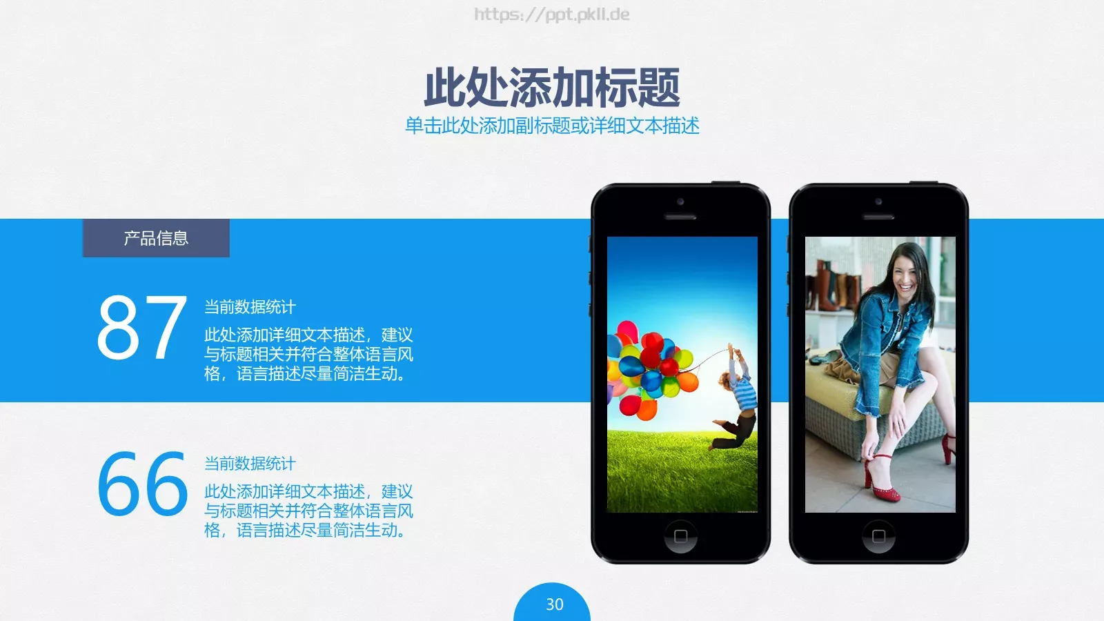 项目评估PPT模板 第 30 页预览图