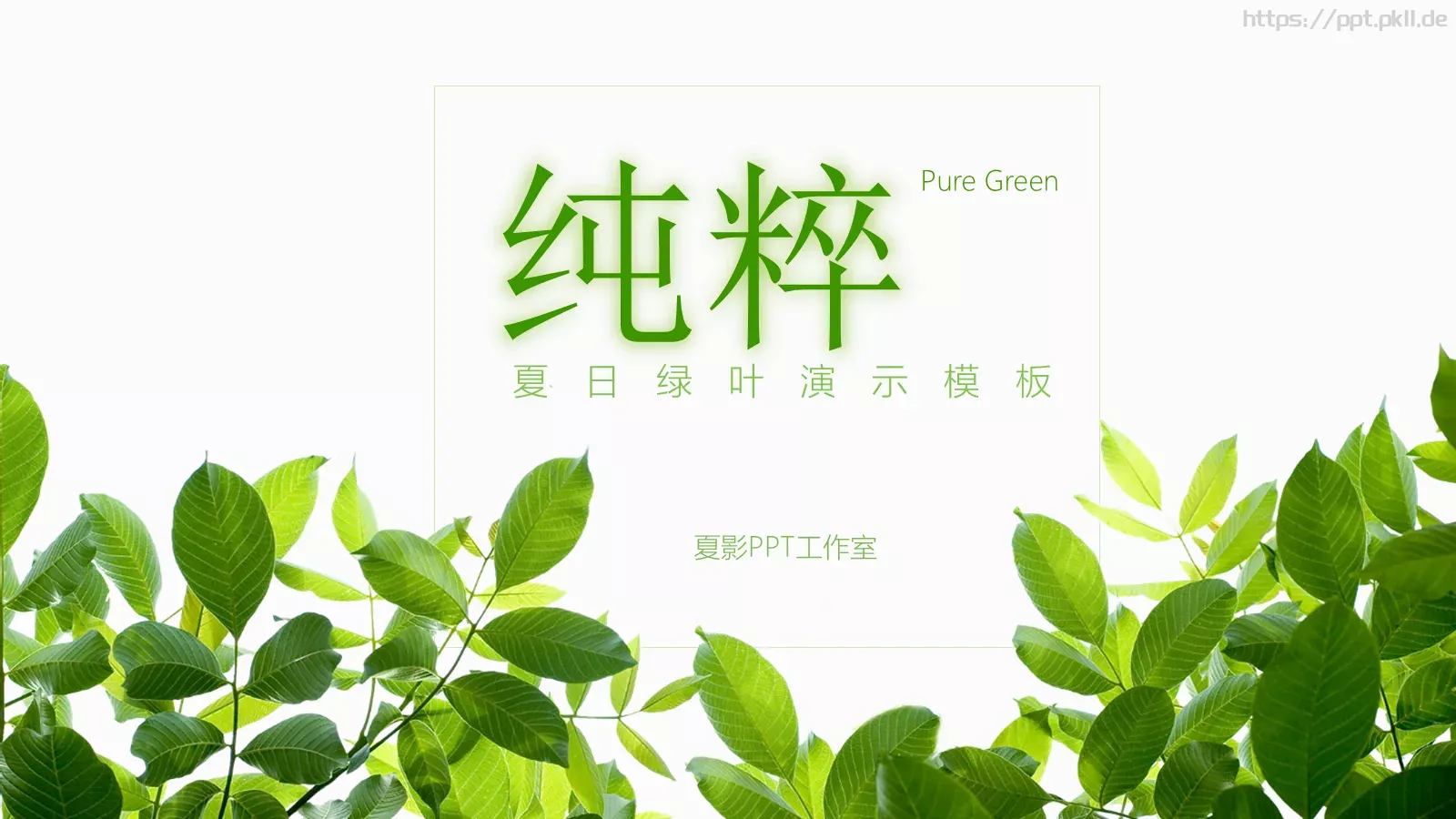夏日绿叶演示模板 第 1 页缩略图