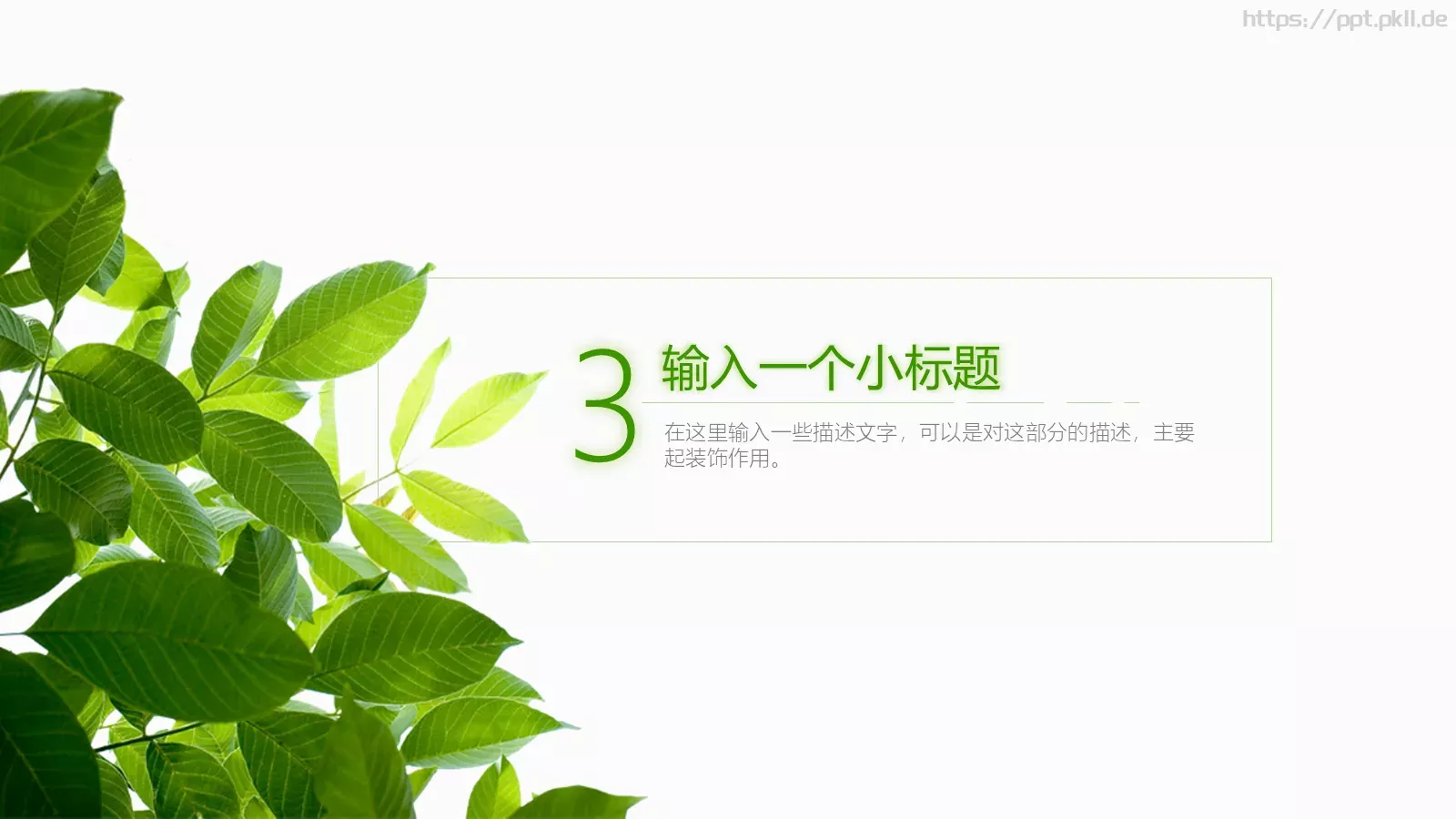 夏日绿叶演示模板 第 13 页预览图