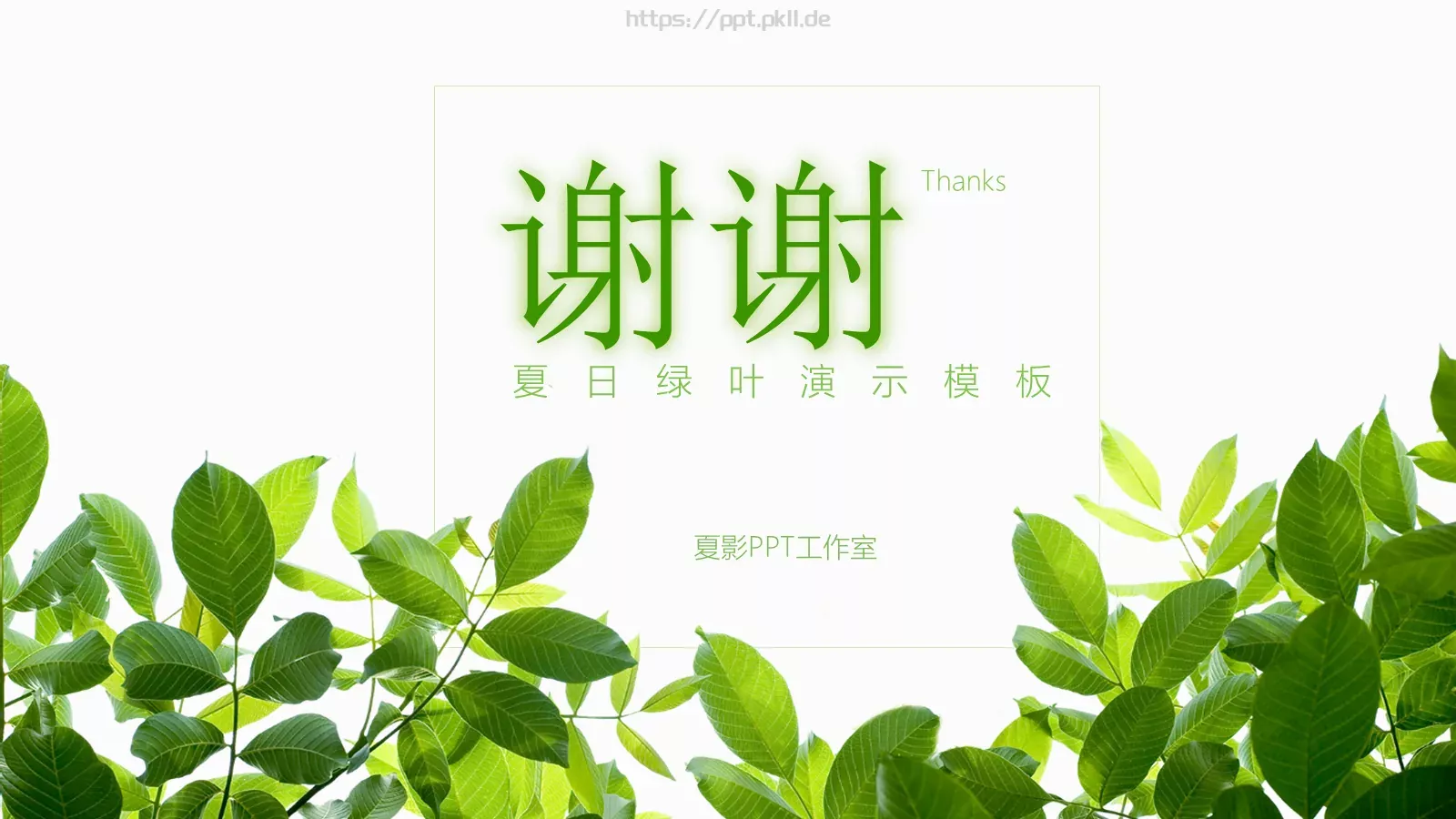夏日绿叶演示模板 第 23 页预览图
